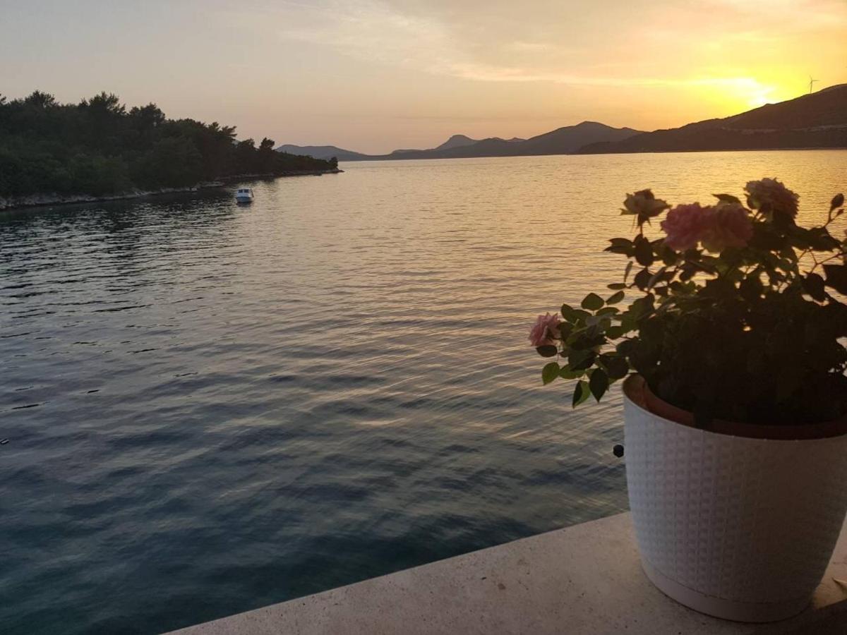 Apartments Melany Slano Εξωτερικό φωτογραφία